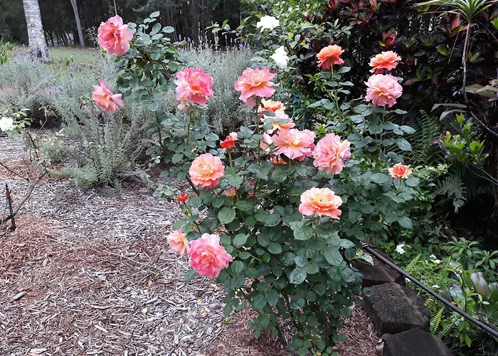 Riviera Bed & Breakfast Gold Coast