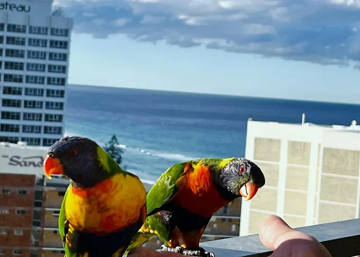 Top Of The Mark- Top Floor Apartment, Parking & Wifi Surfers Paradise