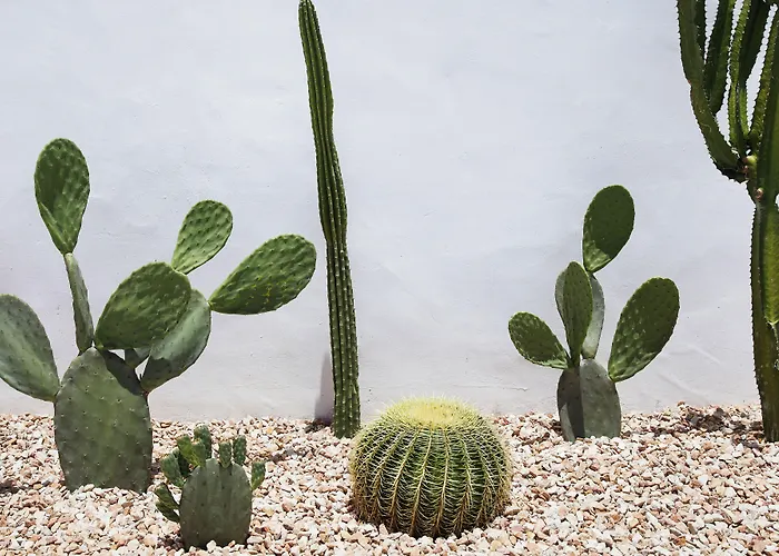 Tessa'S On The Beach
